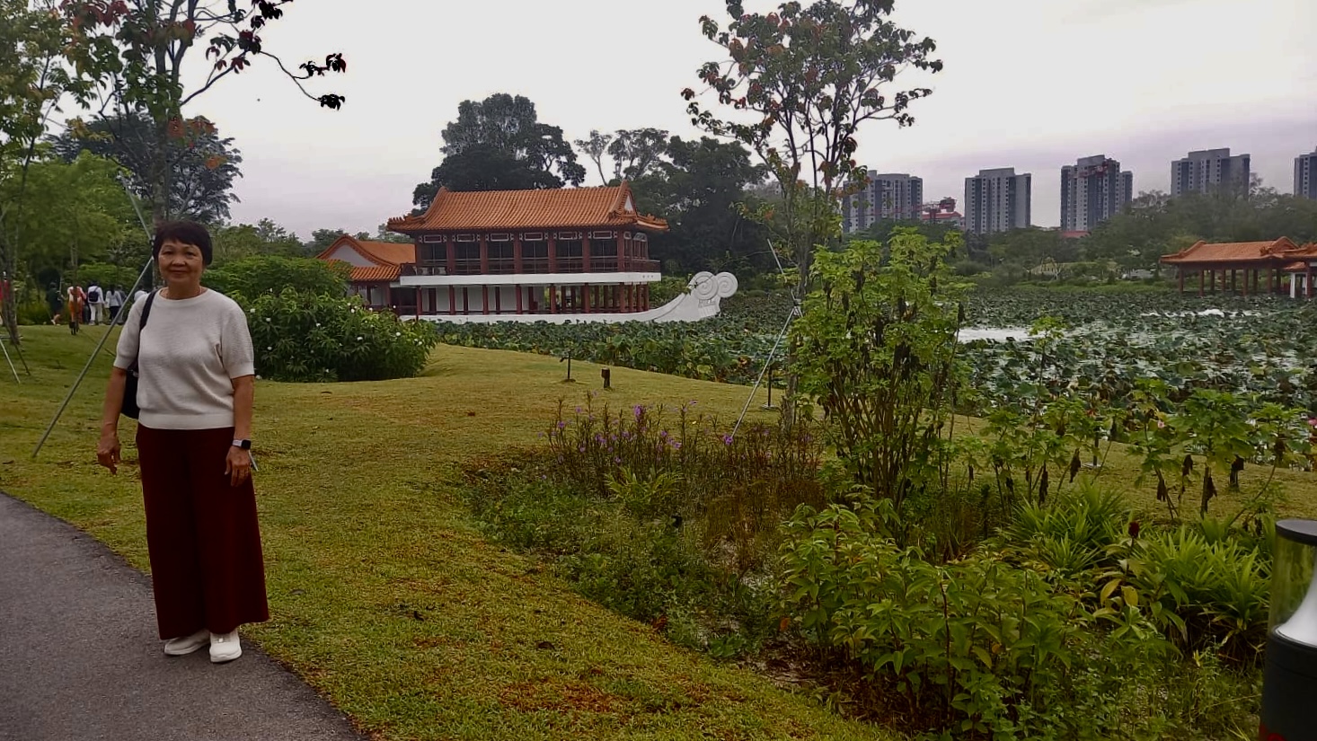 03532665-62a6-429e-ab31-03e78fe7aeb3