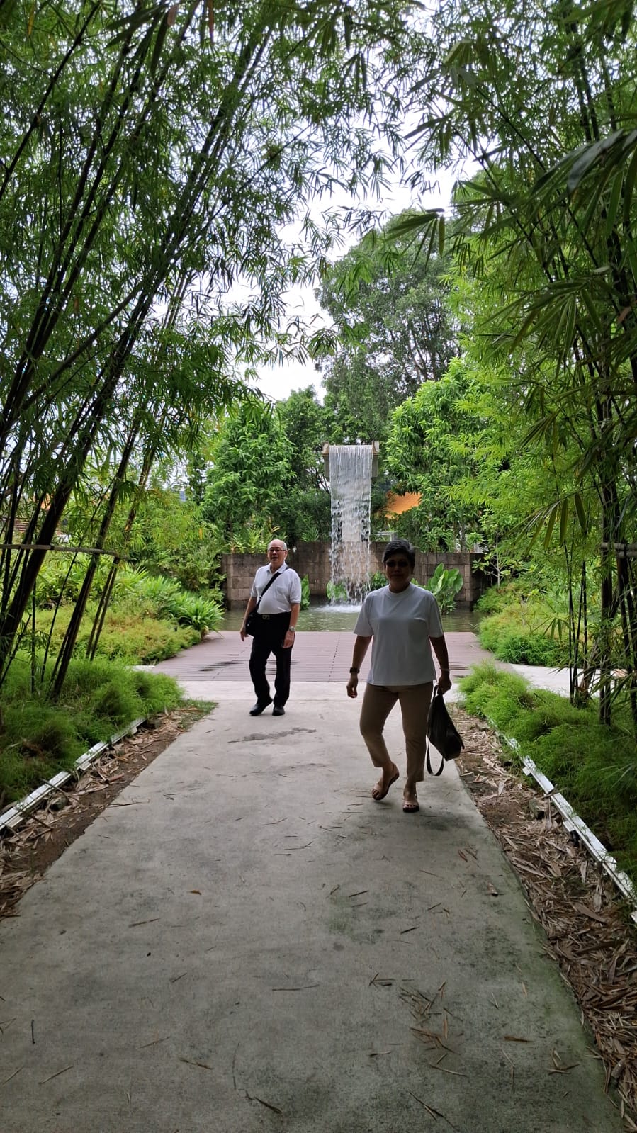 1c879516-d2e5-4878-ba25-2e7264035d0c