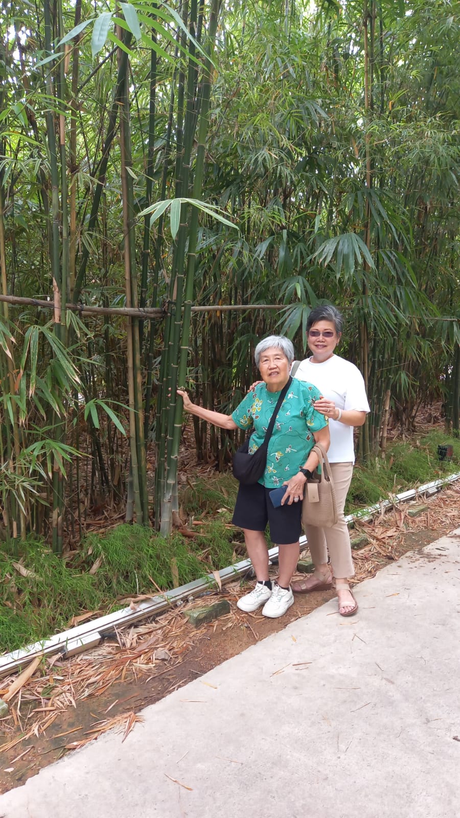 2d2d7ac8-1b14-4b30-94a9-270083564565