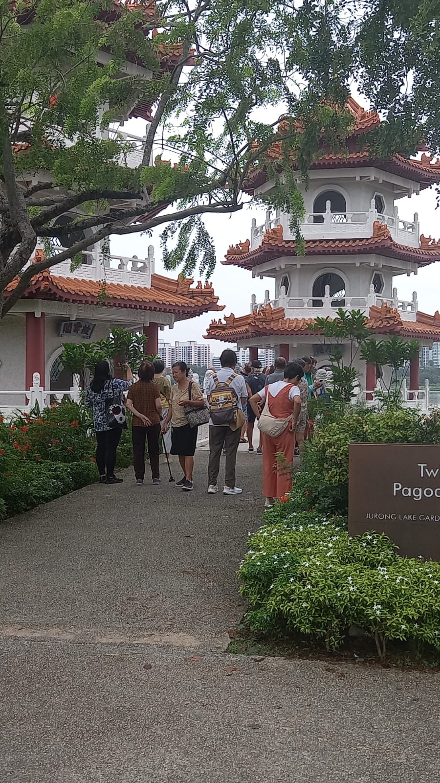 466c6aca-e6dd-48c9-9e8a-145cf9475c8d