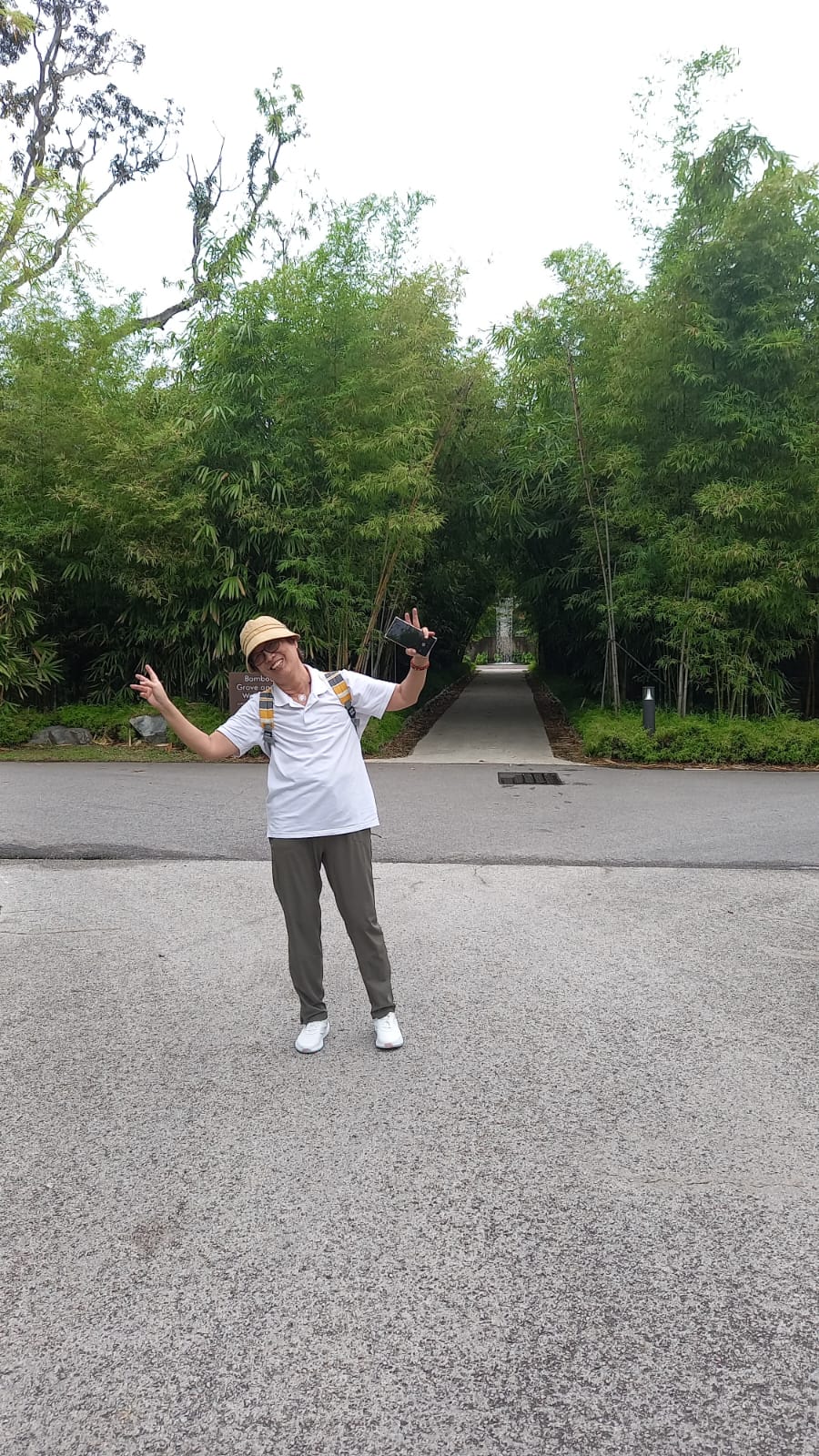 51fadd30-80d4-44c5-93c3-7c01c330dc46