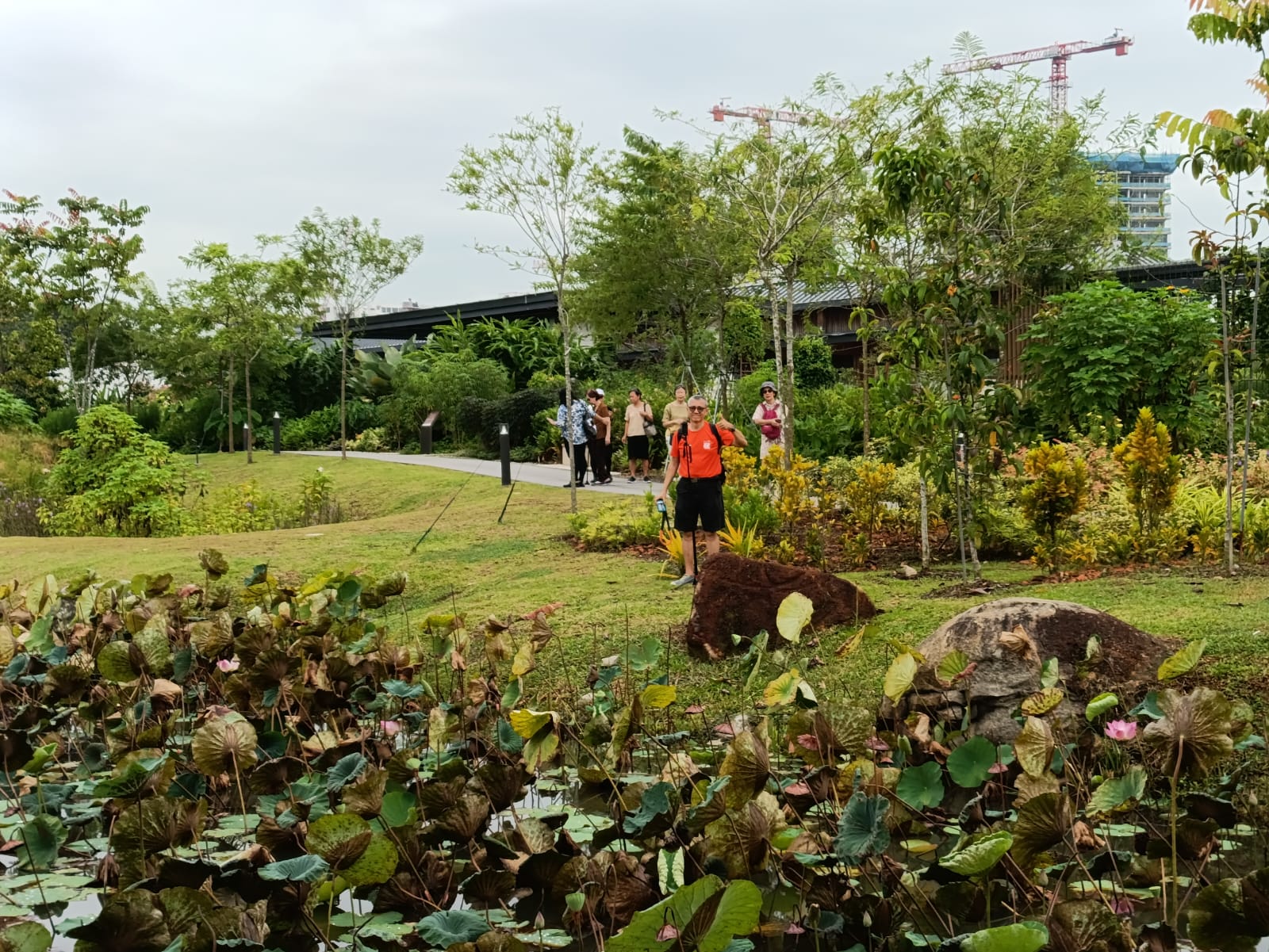 527df18d-7dc0-4701-81d7-51e2d245f31d