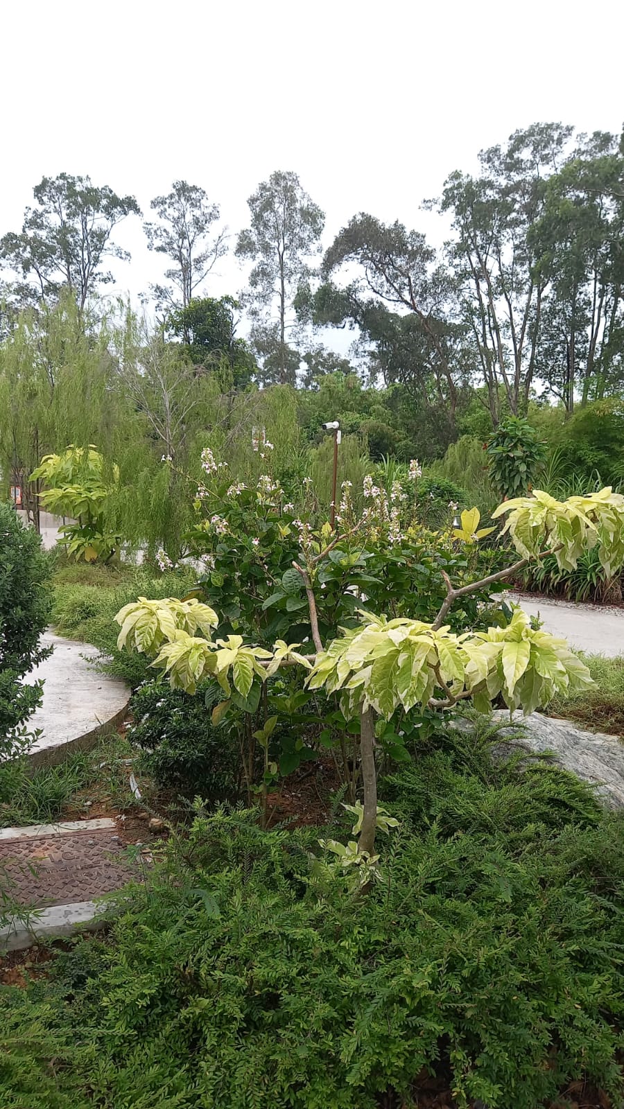 6cef6bed-2bc2-429f-8e97-2487feb686b8