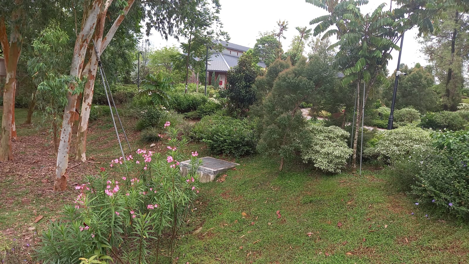 8dbfdcea-4576-4d37-9e5a-d8f39daf880b