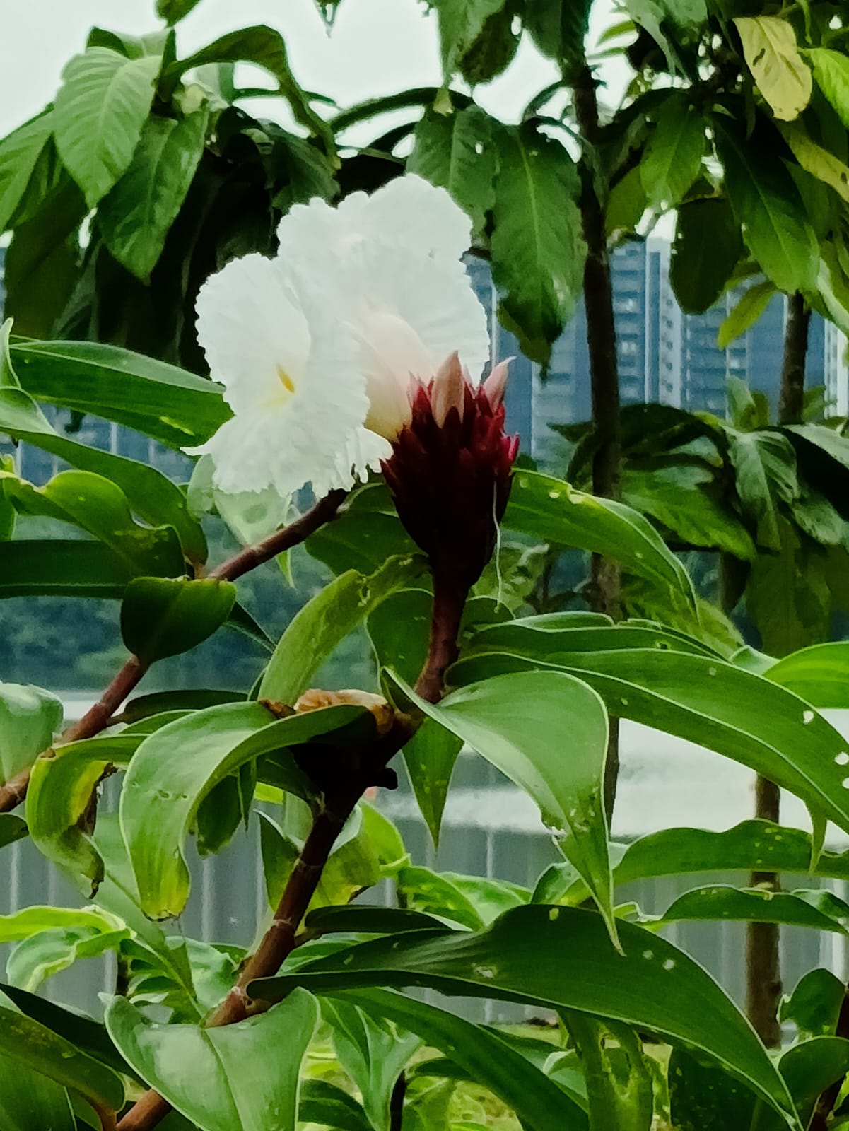 9054fab5-63f4-48c9-bf05-52ba1ab332f5 (1)