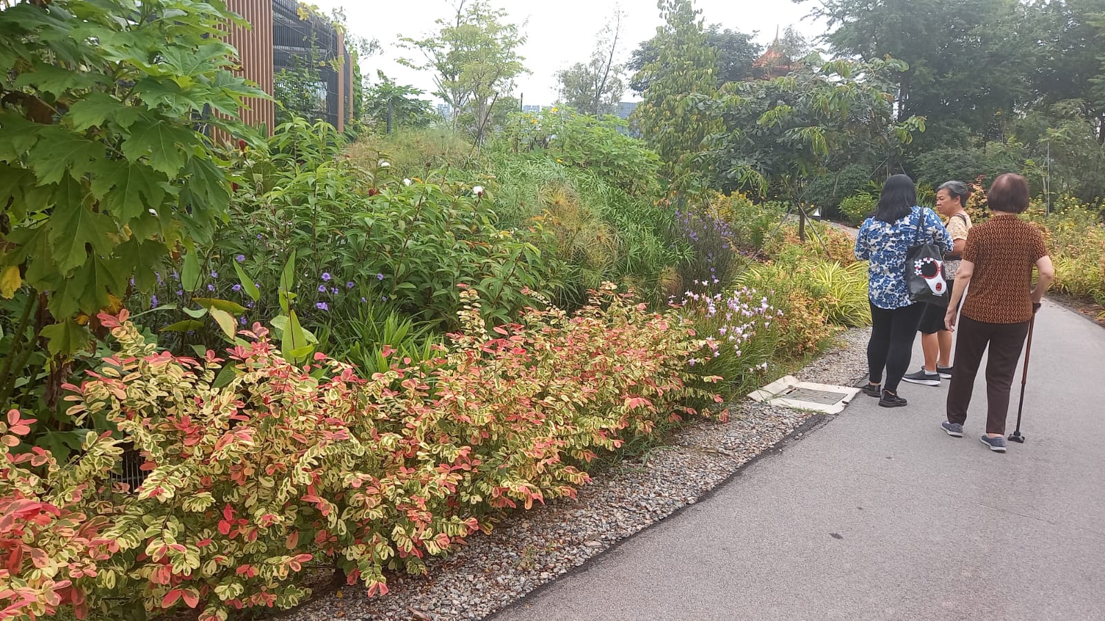 f20ddcd0-395f-4032-84fa-079a3558c927