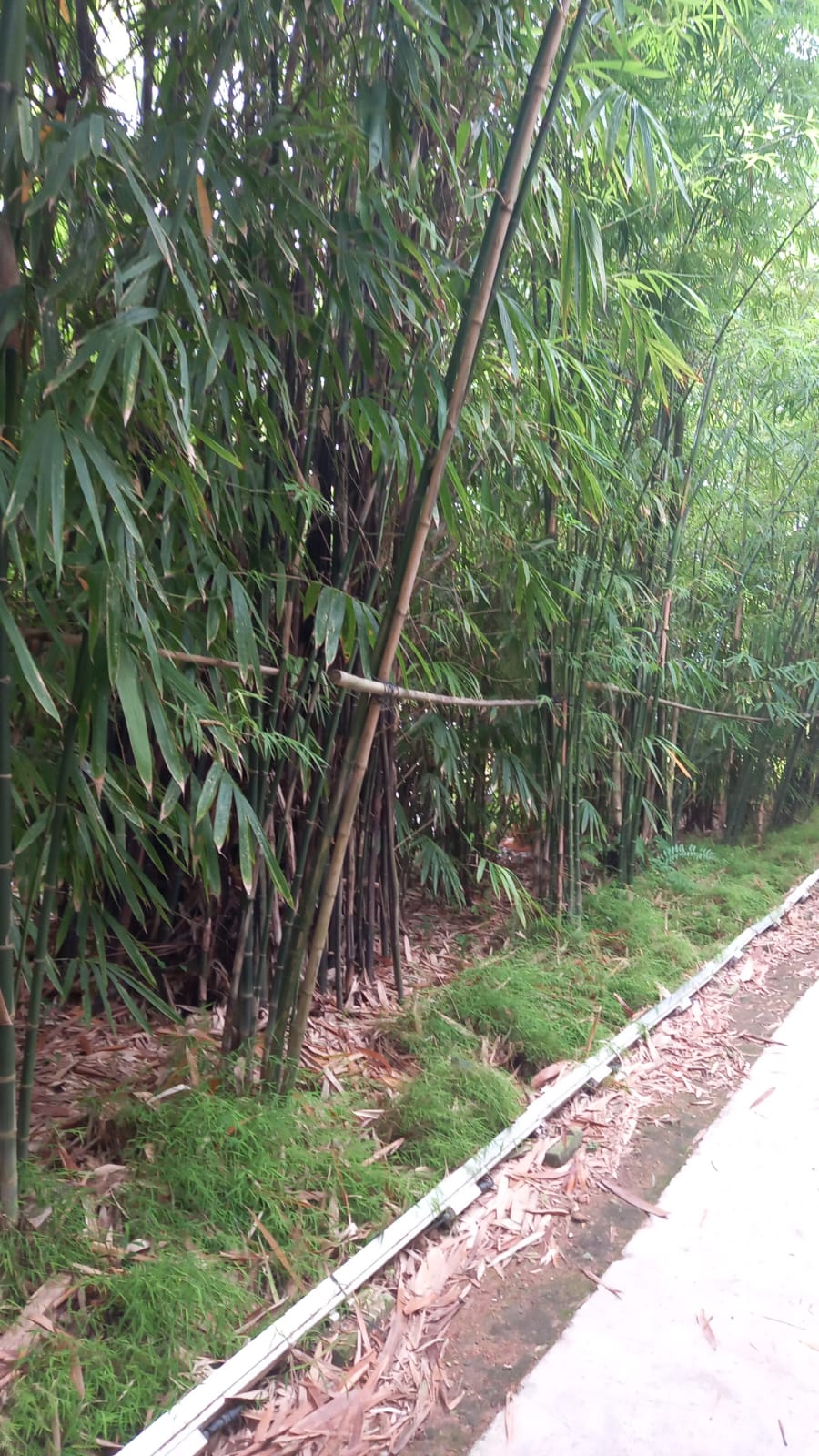 f42235e4-9aad-4240-8d7a-ed9418c6ac71